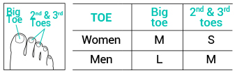 Sizes Digitop